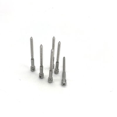 Vite autofilettante di sigillatura di acciaio inossidabile per il cabestano degli strumenti DIN404 ss del tester